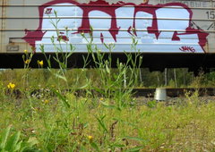 Photo #16062 by Omeqad92Ural