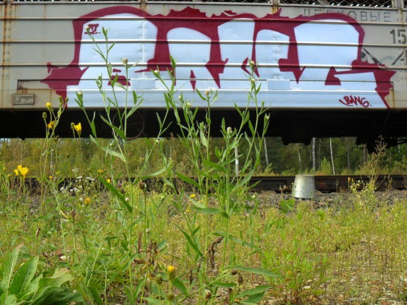 Graffiti Train in Russia - Photo by Bang - Bang (2012)