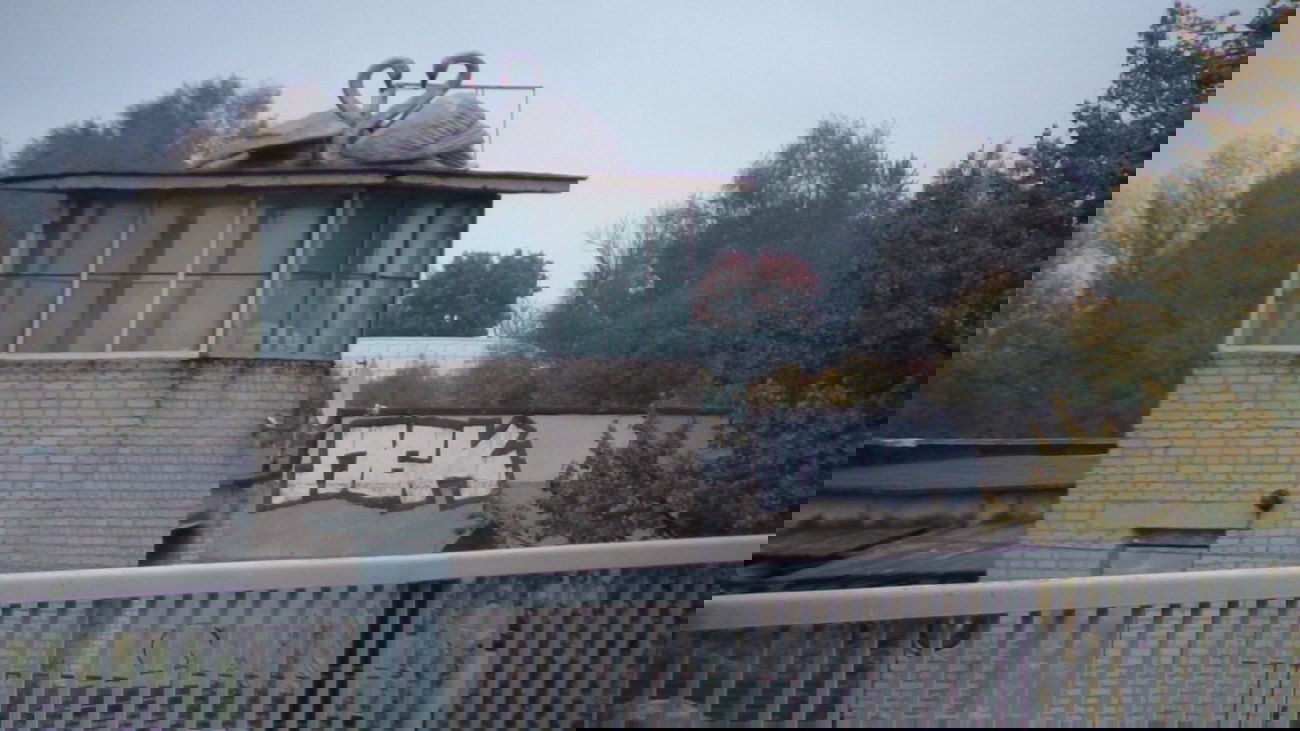 Graffiti Bombing in Russia - Photo by Bang - ??? (2013)