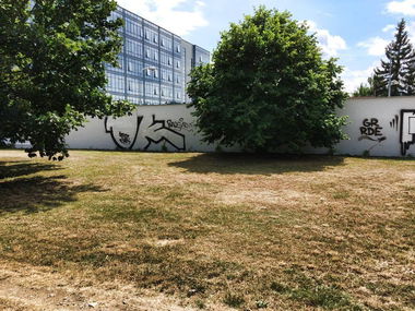 Graffiti Wall - Photo by Bbaks