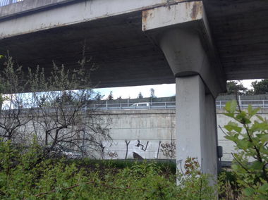 Graffiti Bombing - Photo by Bbaks - bereme, drugs