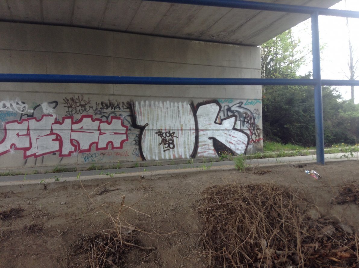 Graffiti Bombing - Photo by Bbaks - DIRTY, SHIT