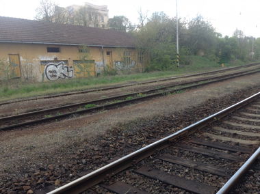 Graffiti Bombing - Photo by Bbaks