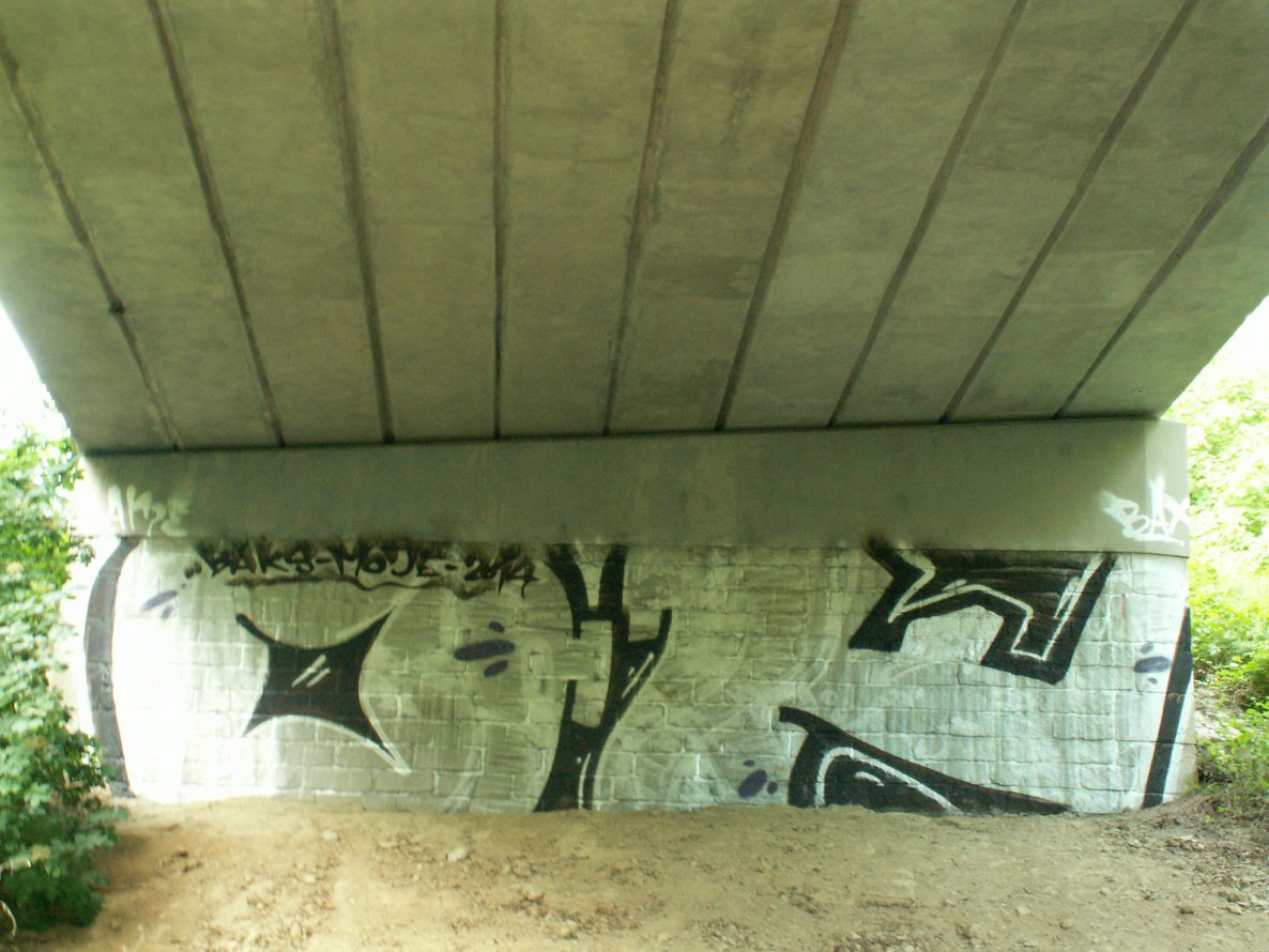 Graffiti Bombing - Photo by Bbaks