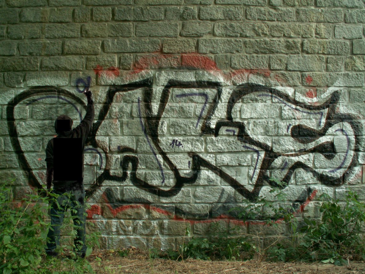 Graffiti Bombing - Photo by Bbaks