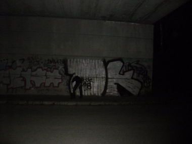 Graffiti Bombing - Photo by Bbaks