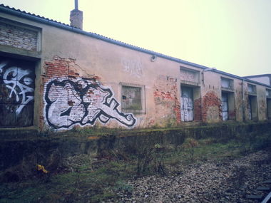 Graffiti Bombing - Photo by Bbaks