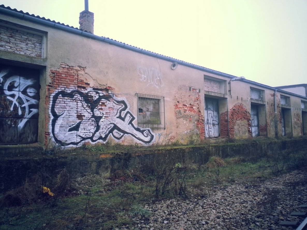 Graffiti Bombing - Photo by Bbaks
