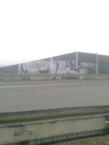 Graffiti Bombing - Photo by Bbaks