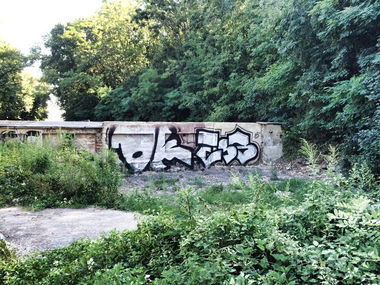 Graffiti Bombing - Photo by Bbaks