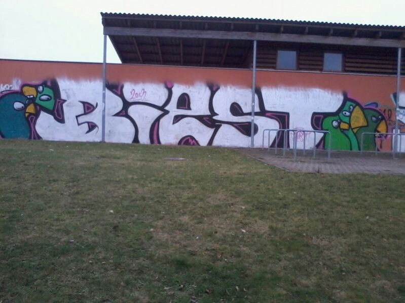Graffiti Bombing in MD - Photo by BeasD - Biest, Skui