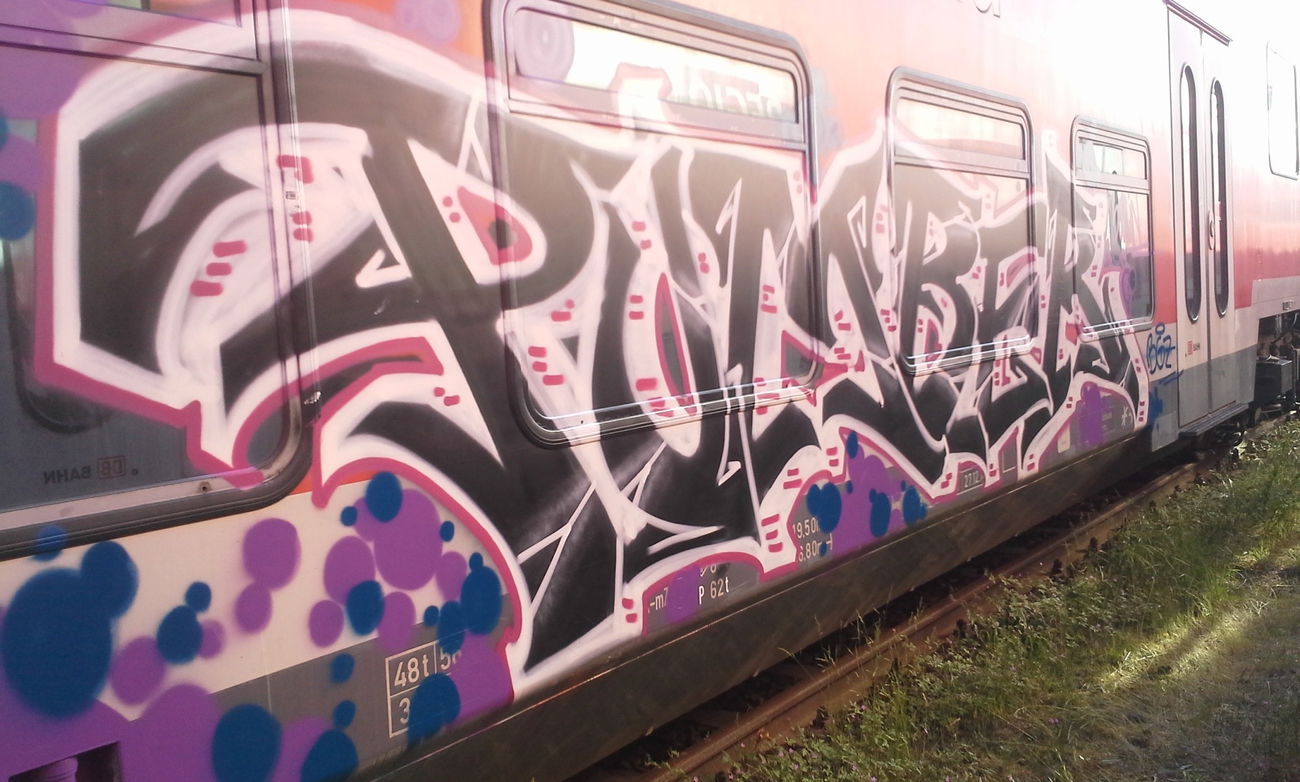 Graffiti Train in Berlin - Photo by BeeGeeZ - BGZ, BeeGeeZ, 2013 (2013)