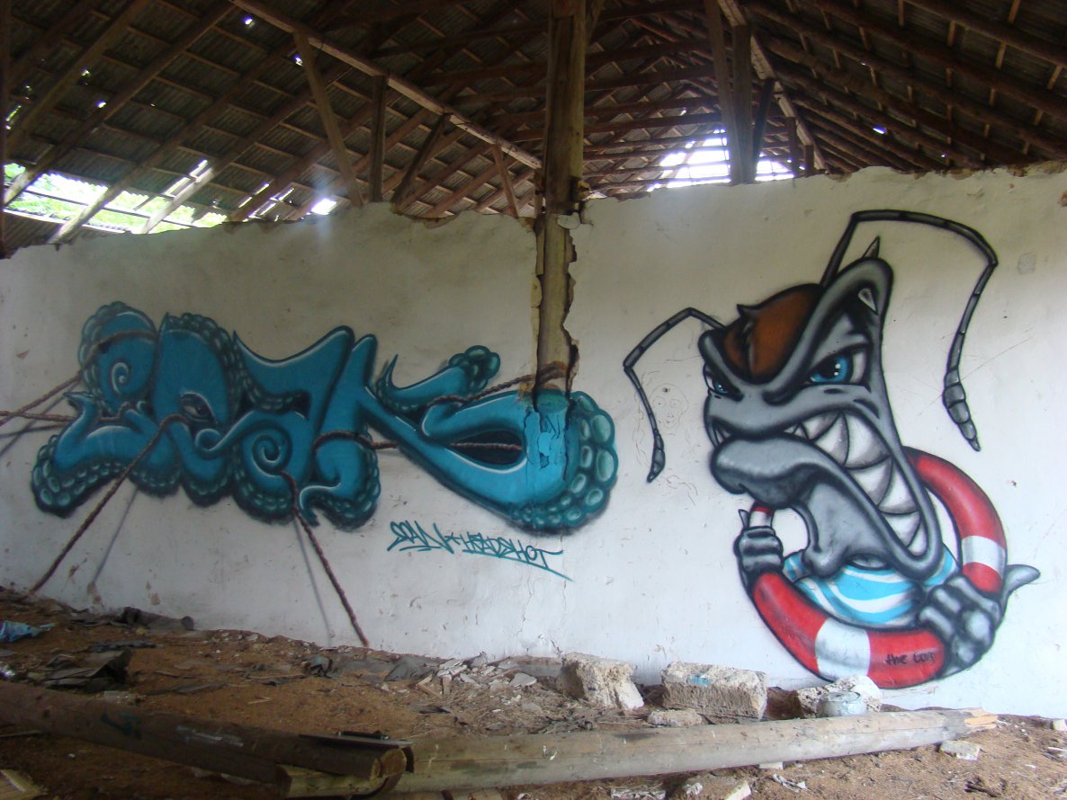 Graffiti Wall - Photo by BeetleZ - CaBs