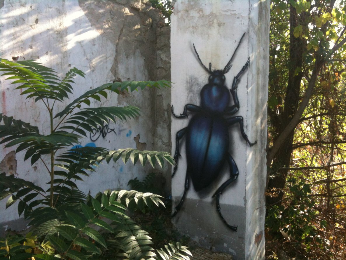 Graffiti Wall - Photo by BeetleZ - CaBs