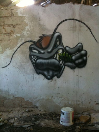 Graffiti Wall - Photo by BeetleZ - CaBs