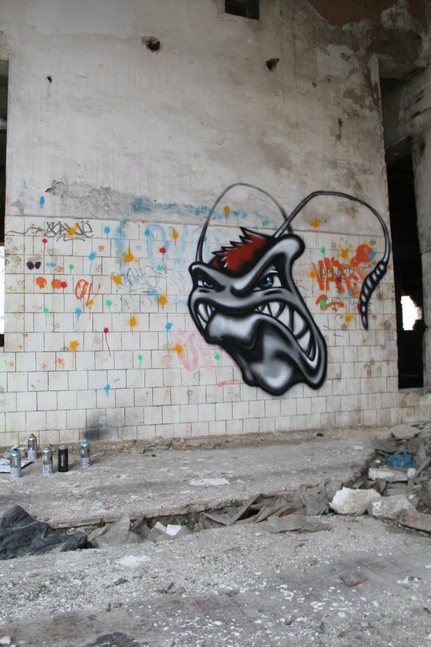 Graffiti Wall - Photo by BeetleZ - CaBs