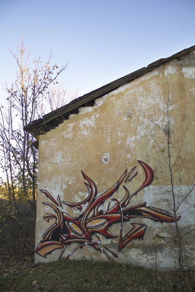 Graffiti Wall - Photo by BeetleZ - CaBs