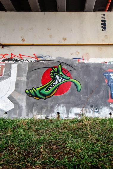 Graffiti Wall - Photo by BeetleZ - green, ?aBs (2015)