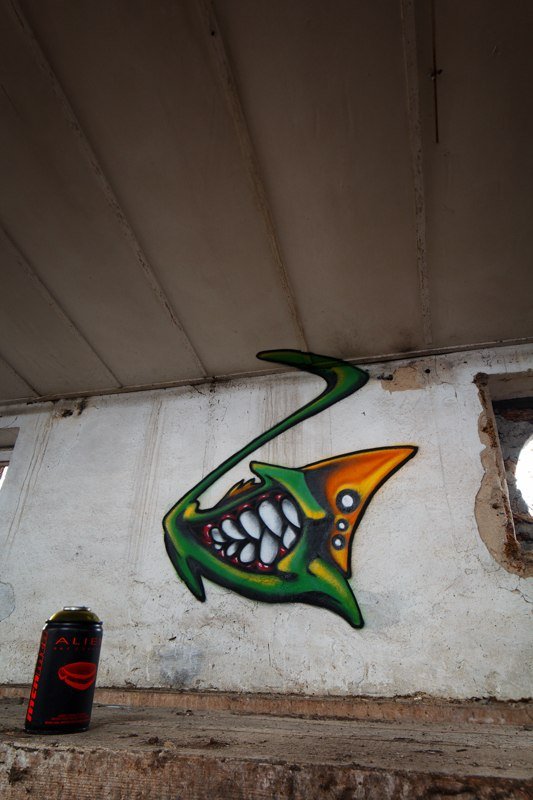 Graffiti Wall - Photo by BeetleZ - B-Bug  (2015)