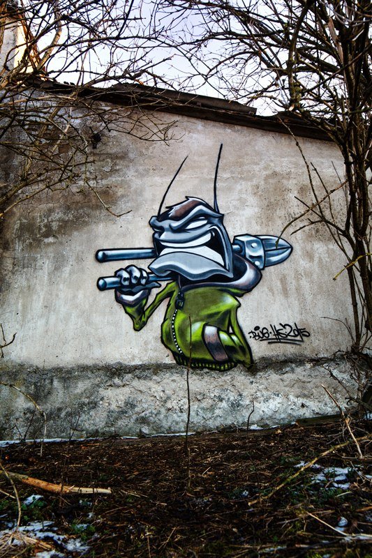 Graffiti Wall - Photo by BeetleZ - Bug, - burglar (2015)