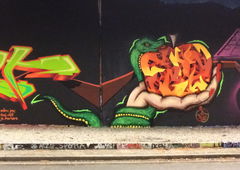 Graffiti Wall - Photo by Belt - belt, fkt, npn (2020)