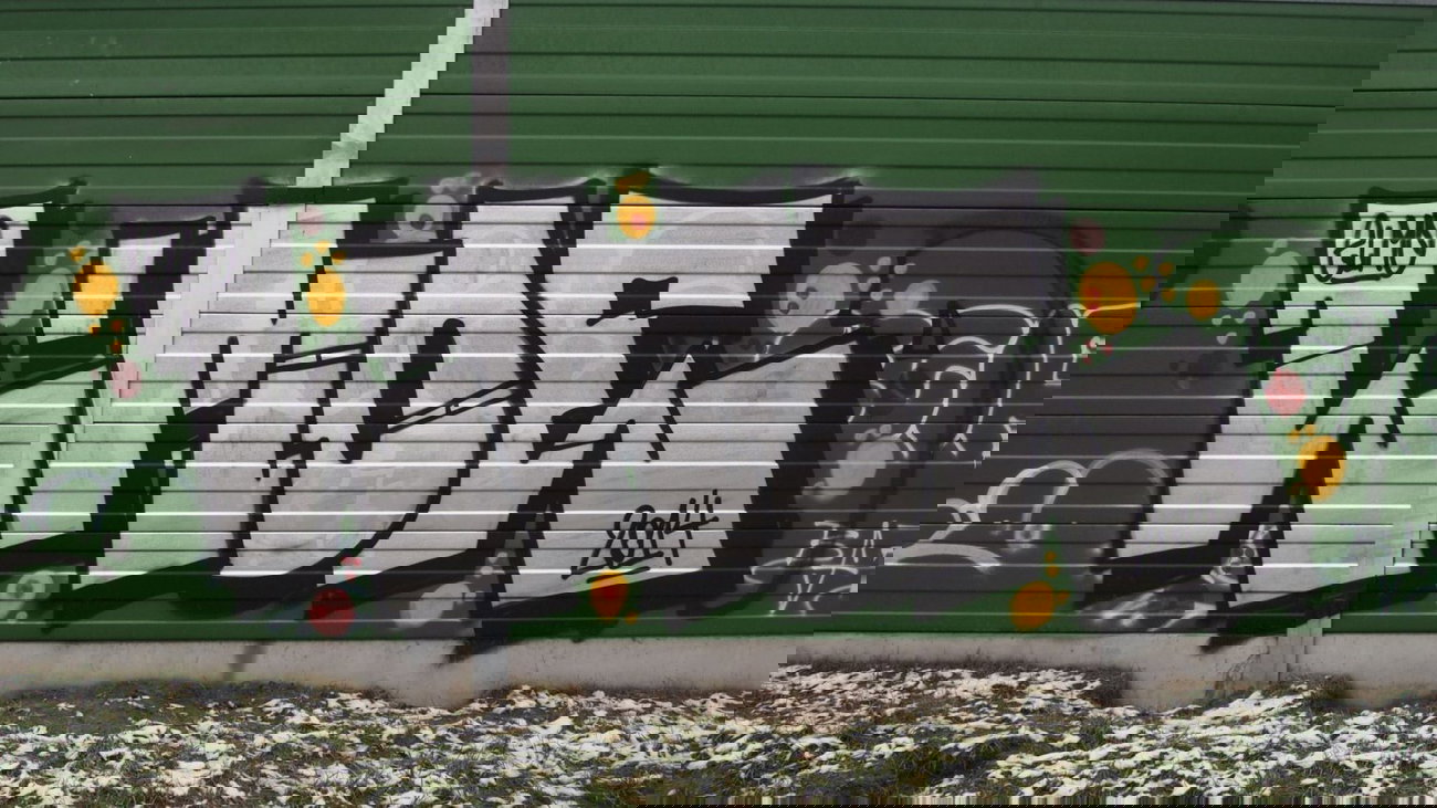 Graffiti Wall - Photo by BemWalls - L'moe, Elmo, Bemowo (2014)