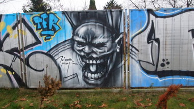 Graffiti Wall - Photo by BemWalls - Pest, Mister, Pest