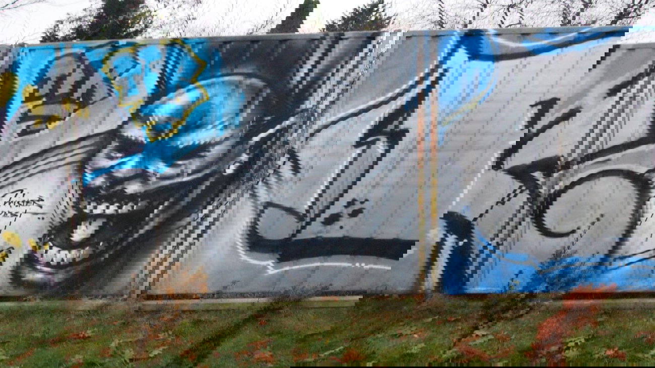 Graffiti Wall - Photo by BemWalls - Pest, Mister, Pest