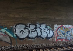 Photo #237152 by koal