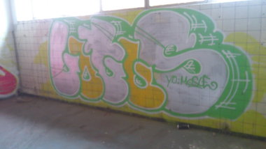 Graffiti Wall - Photo by Benderbaumeister - lotus, mosle, bonn