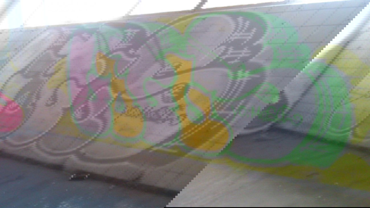 Graffiti Wall - Photo by Benderbaumeister - lotus, mosle, bonn