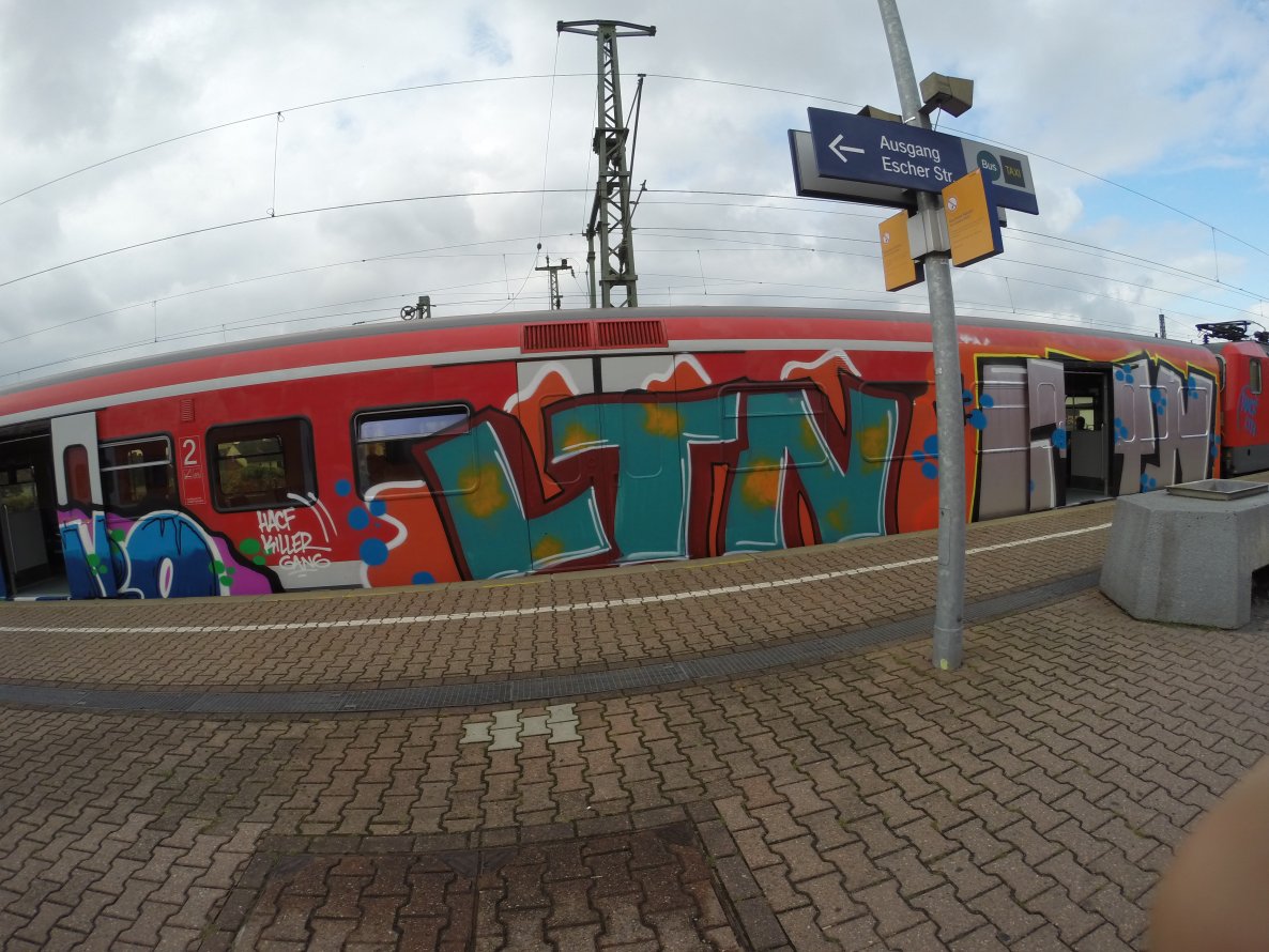 Graffiti Train - Photo by Benderbaumeister - LTN, Köln, s6 (2014)