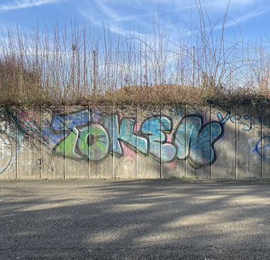 Graffiti Bombing - Photo by Benlexa007 - Vellmar, Kassel, Token