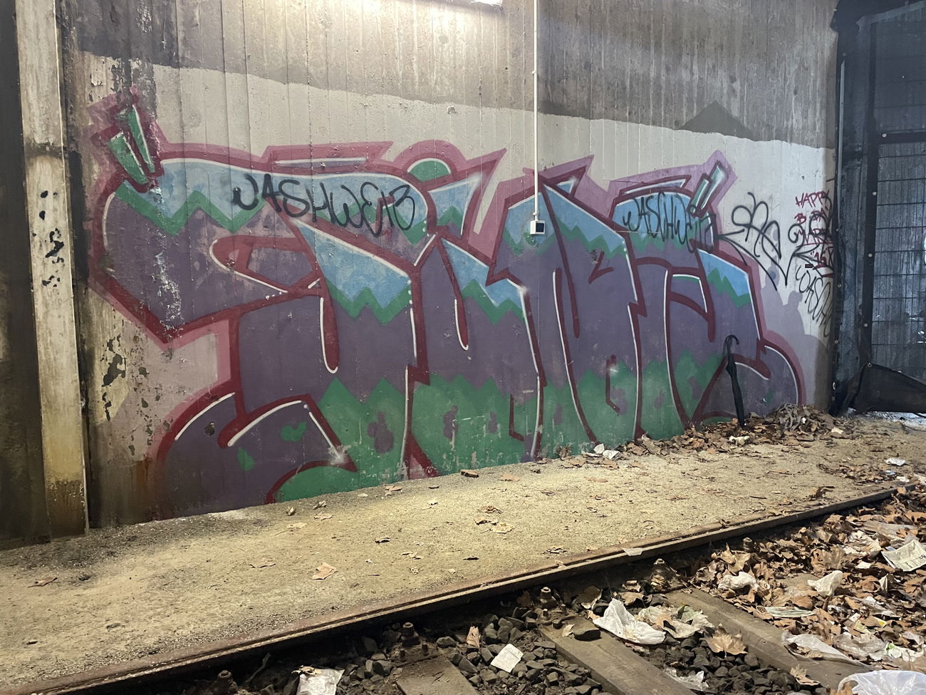Graffiti Bombing - Photo by Benlexa007 - Kassel, Ubahn