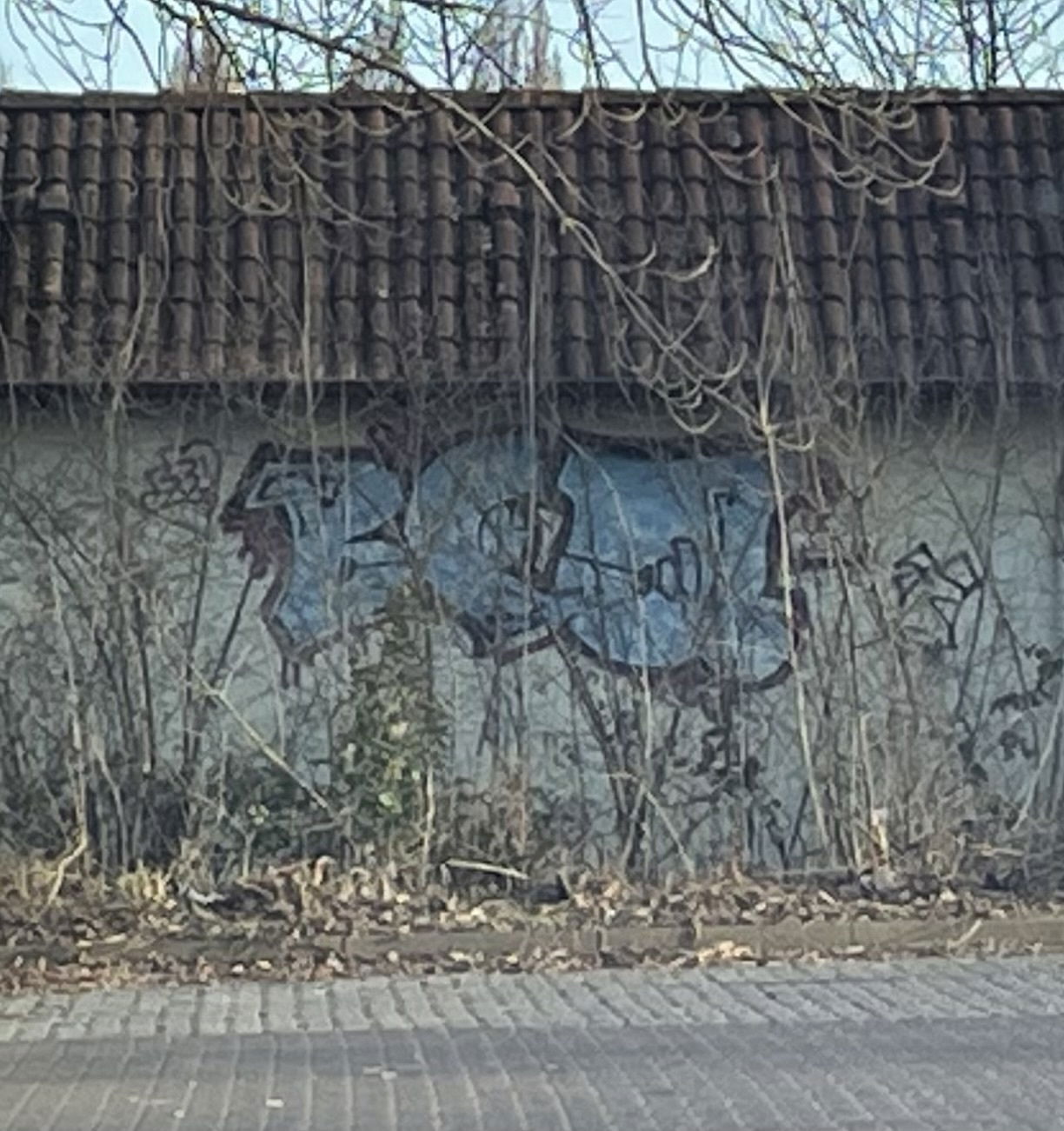 Graffiti Bombing - Photo by Benlexa007 - Kassel, Vellmar