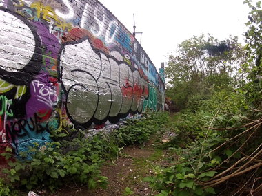 Graffiti in Köln - Photo by Benny - SHEEP (2015)