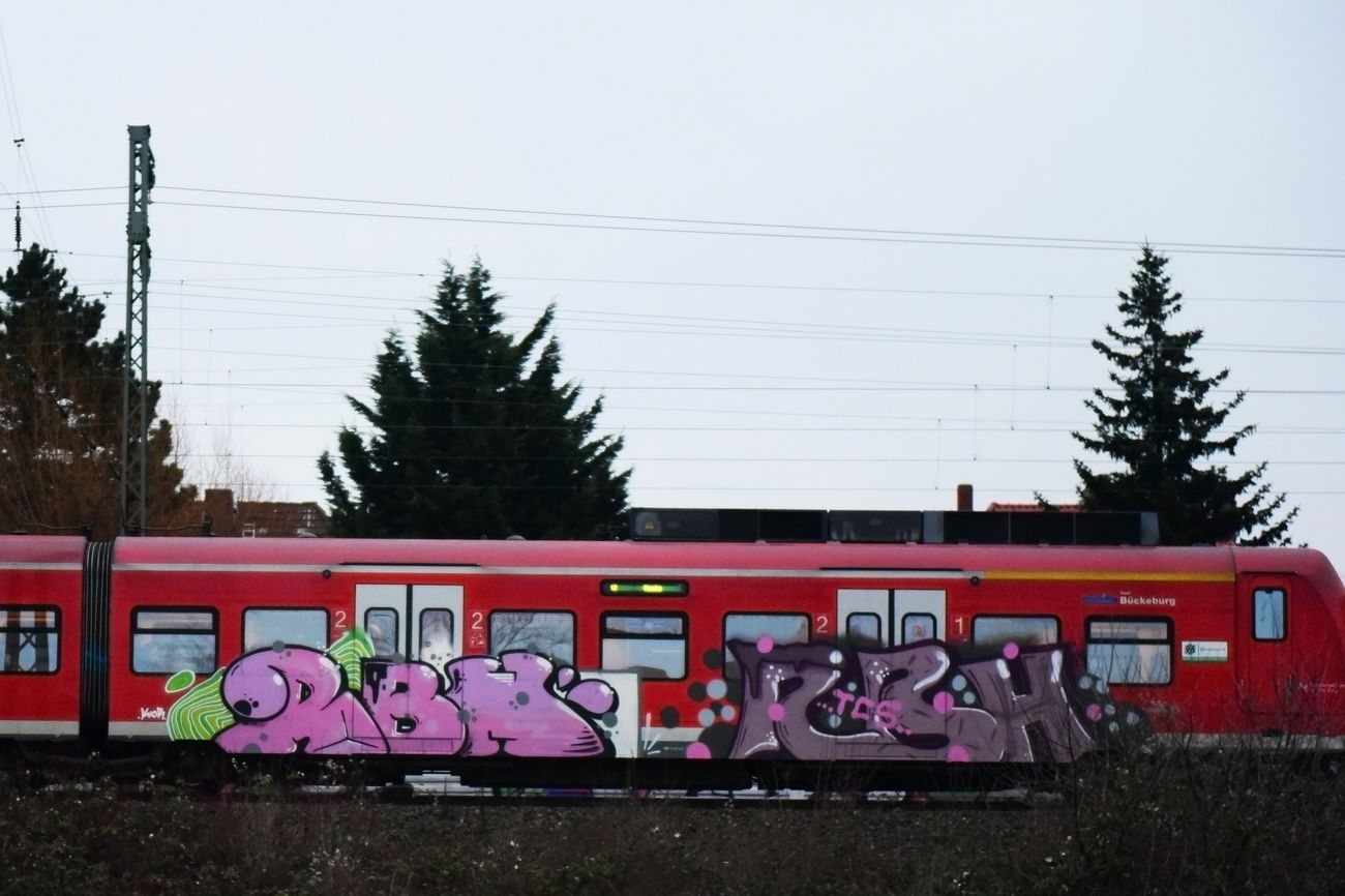 Graffiti Train in Hannover - Photo by BertosBlog - RBH (2017)