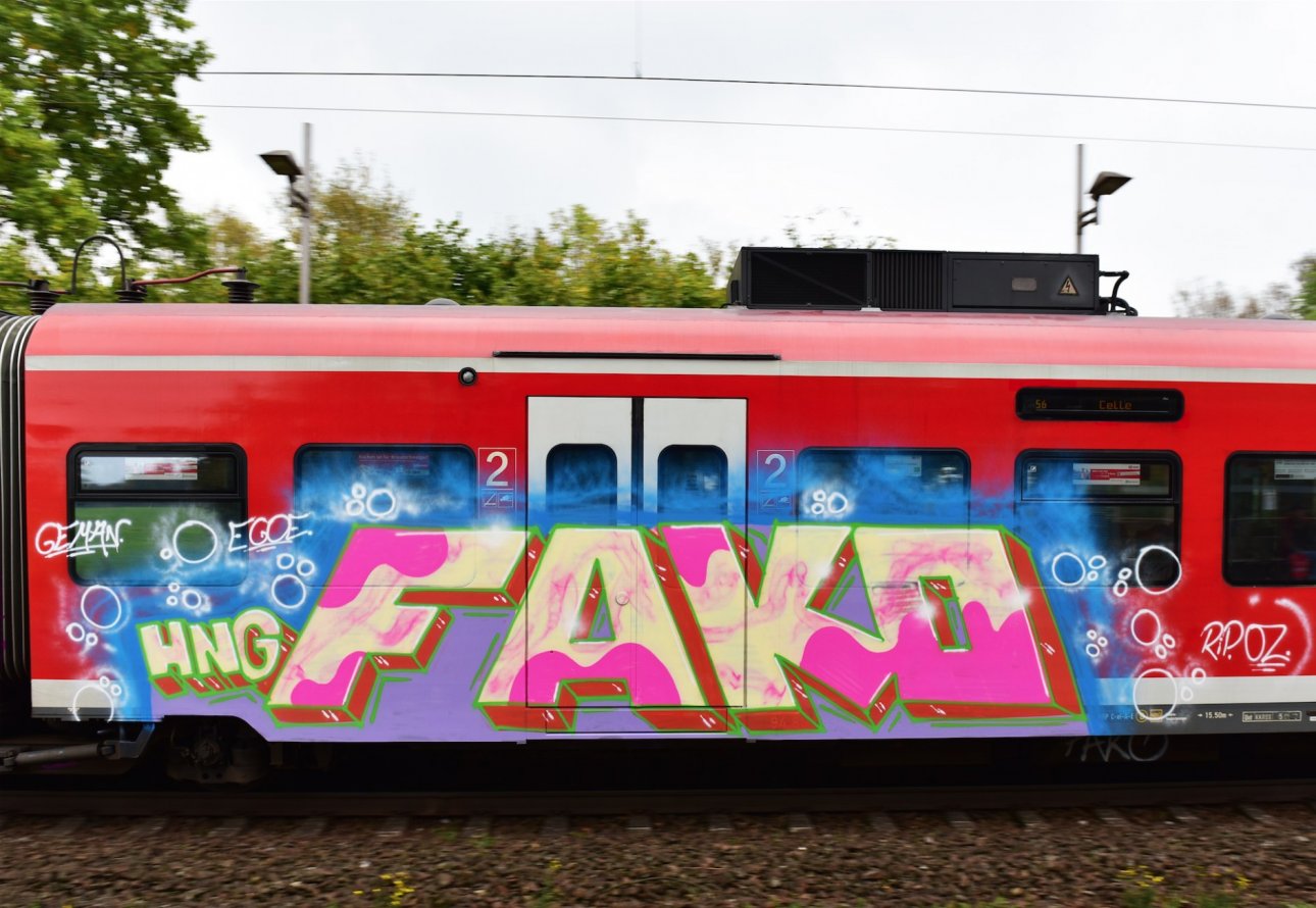 Graffiti Train in Hannover - Photo by BertosBlog - Fako, HNG (2014)