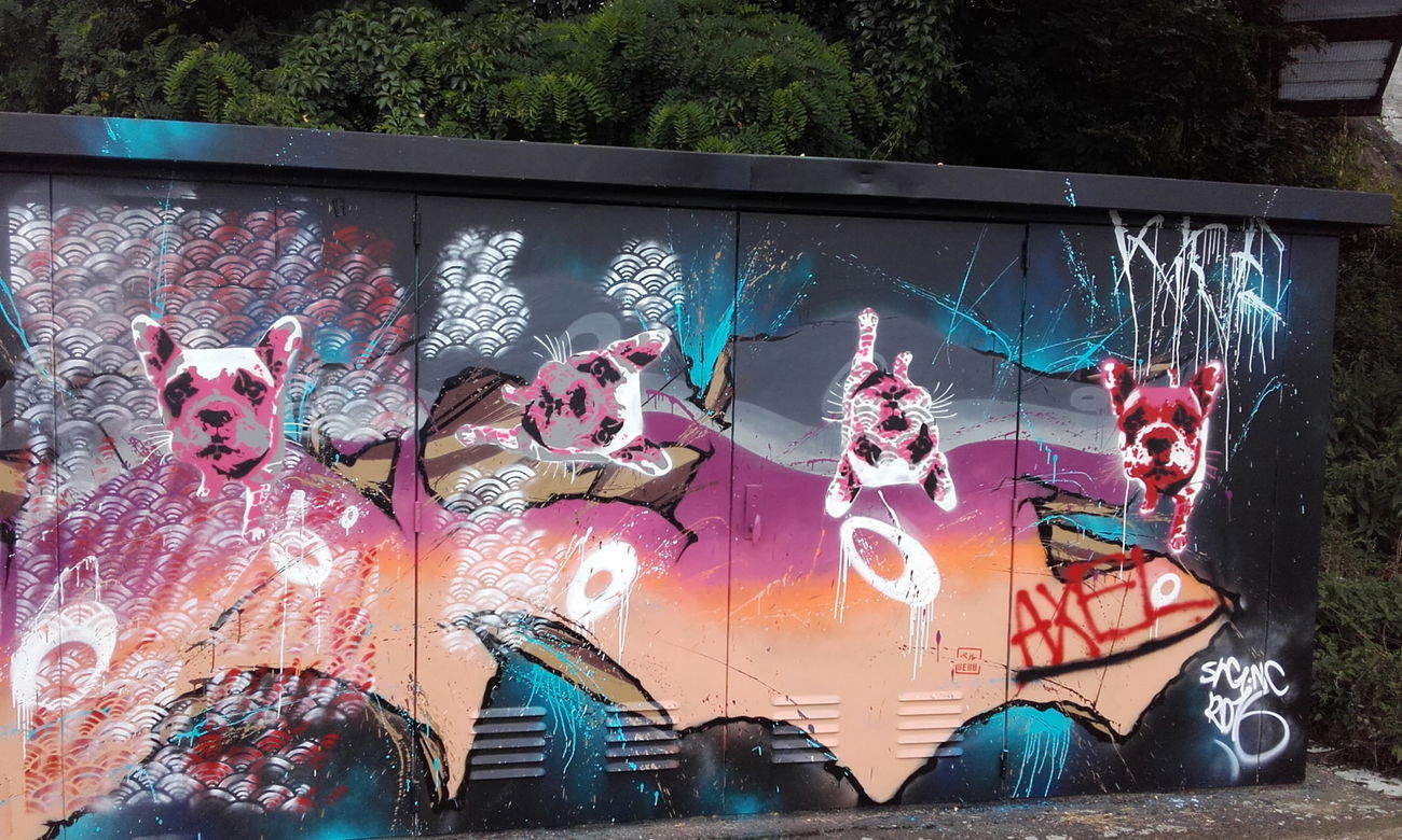 Graffiti Wall in Belgium - Photo by Beru (2016)