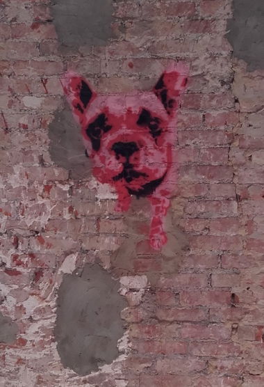 Graffiti Wall - Photo by Beru (2017)