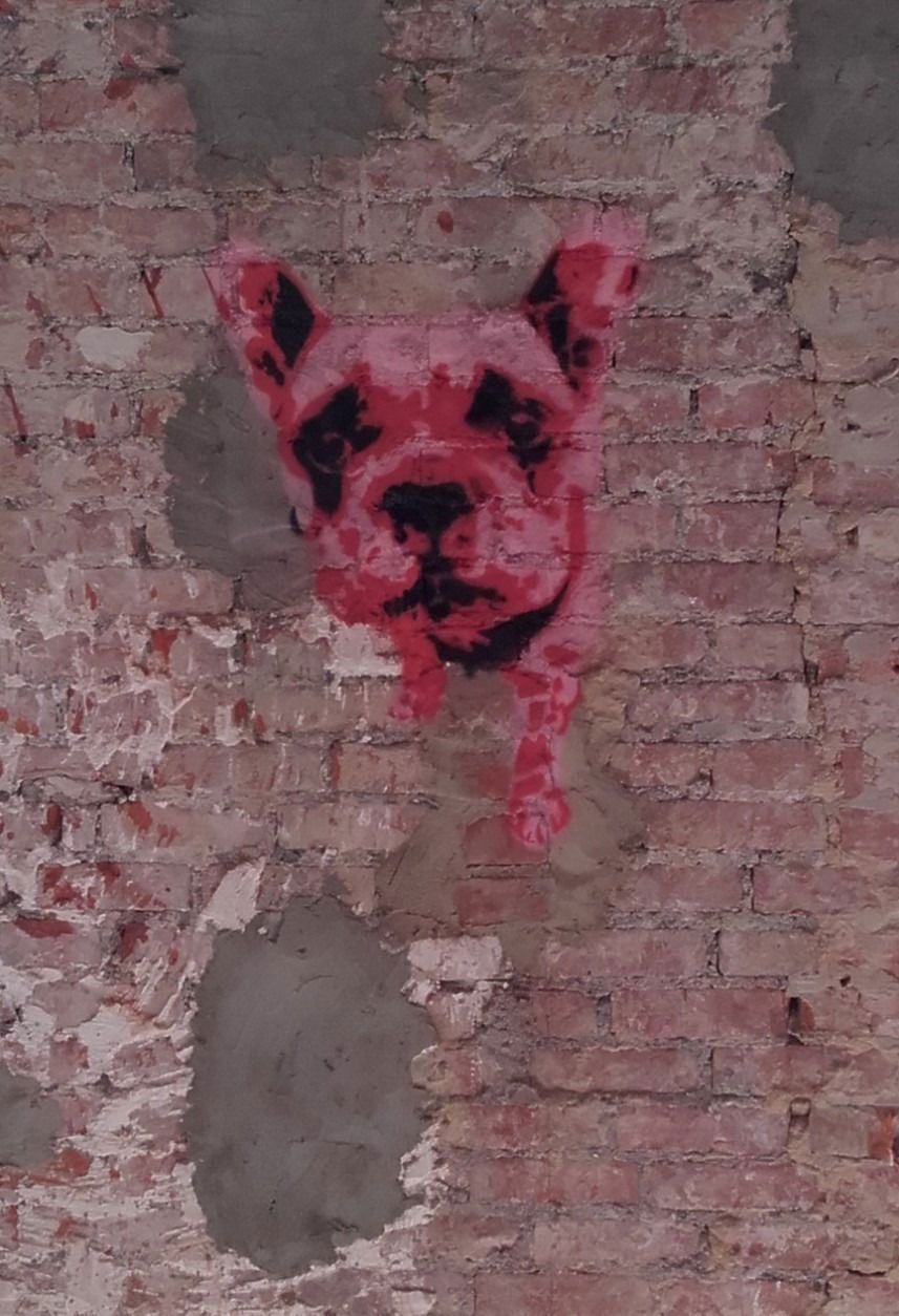 Graffiti Wall - Photo by Beru (2017)