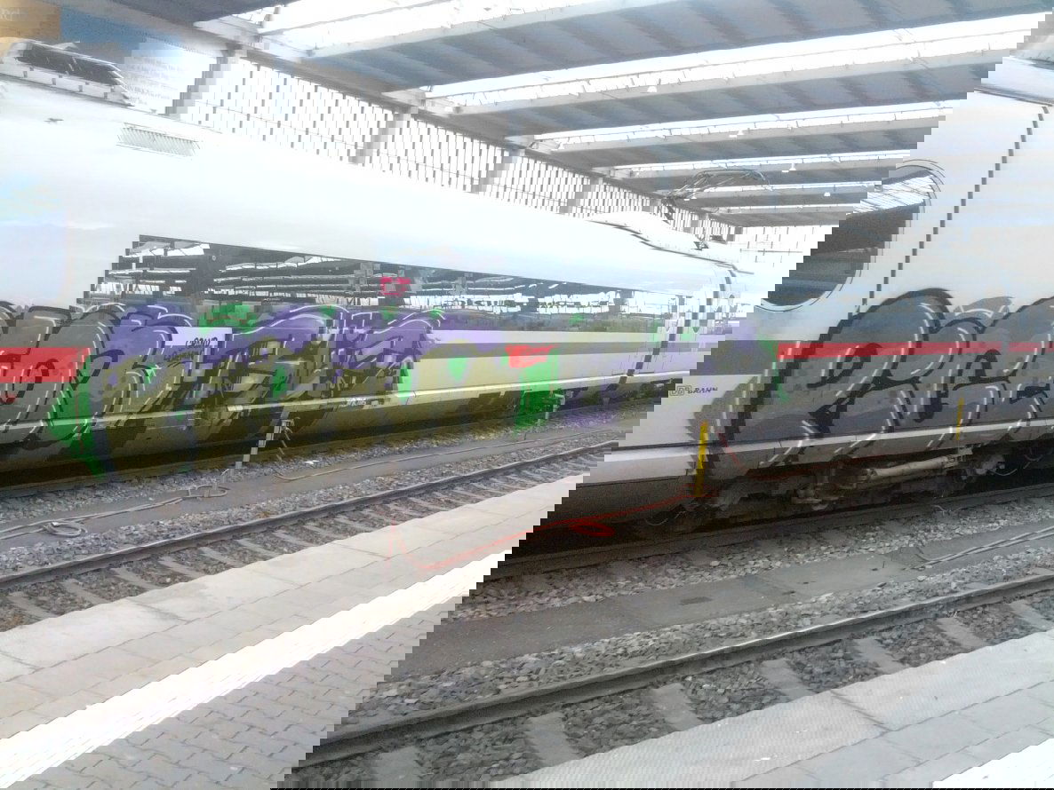 Graffiti Train - Photo by Beutelratte - pigeons (2013)