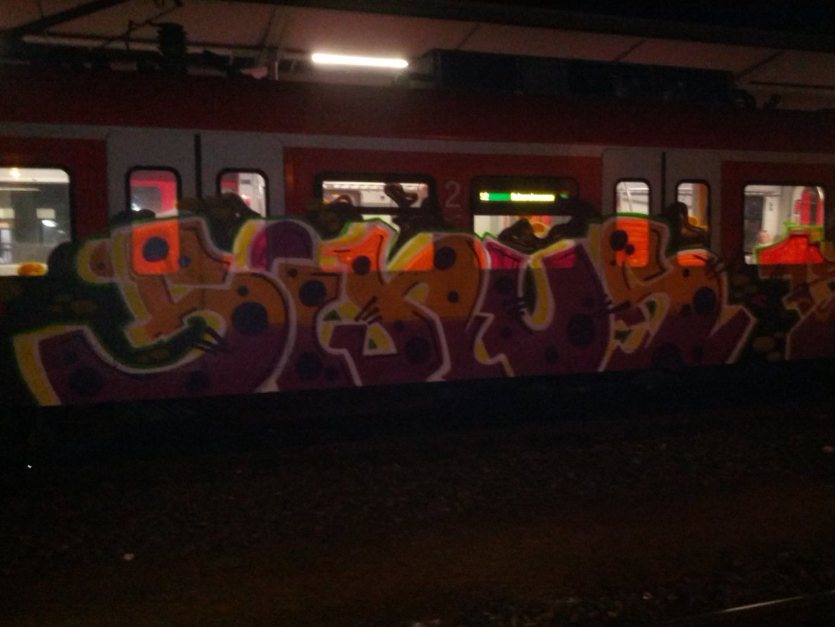 Graffiti Train in München - Photo by Beutelratte - Sinus (2014)