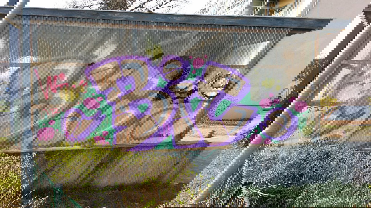 Graffiti Bombing - Photo by BiCrew_293 - BiC, Creeb, Crib (2014)