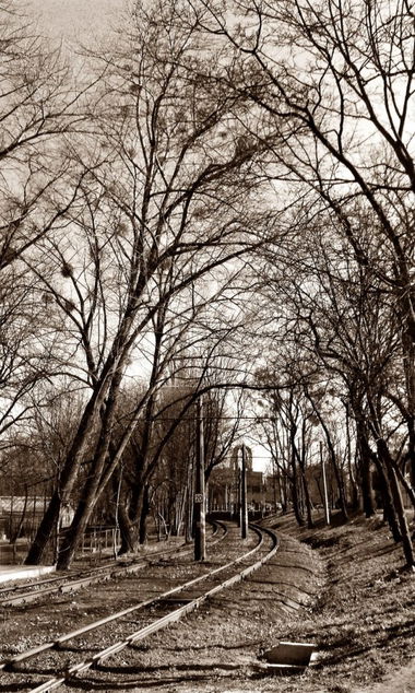 Graffiti Artwork - Photo by BiGoSsOoN