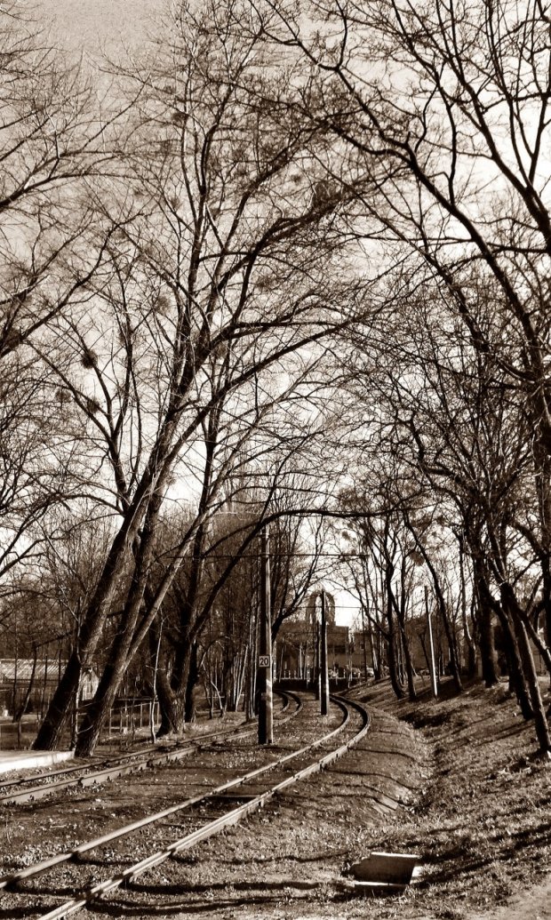 Graffiti Artwork - Photo by BiGoSsOoN