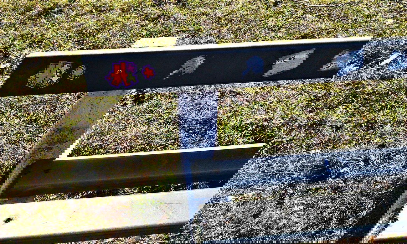 Graffiti Artwork - Photo by BiGoSsOoN