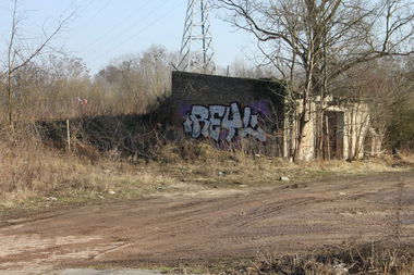 Graffiti Bombing in Deutschland - Photo by BiTE - Reyl, FDS