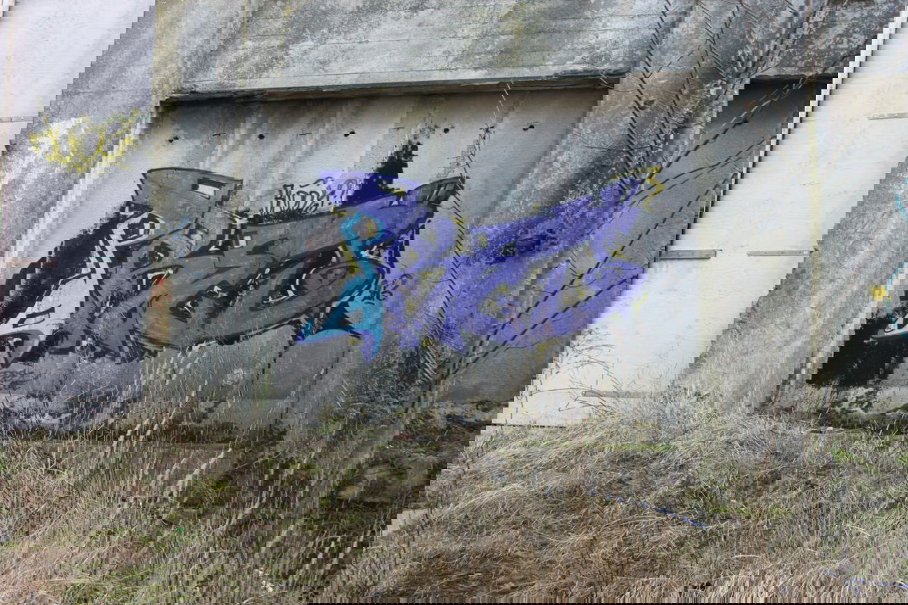 Graffiti Wall in Deutschland - Photo by BiTE - Prey, Buddys, Ruine (2013)