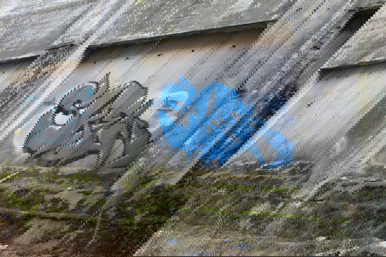 Graffiti Wall in Deutschland - Photo by BiTE - Sken, Skenar73, Buddys (2013)